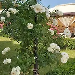 амида