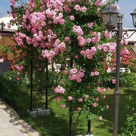 Konukevi амида 3*