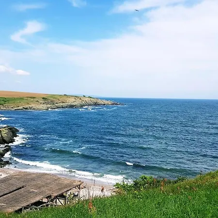 амида バルバラ