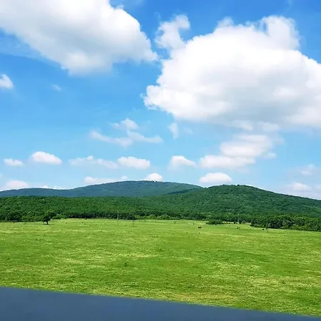 амида ゲストハウス