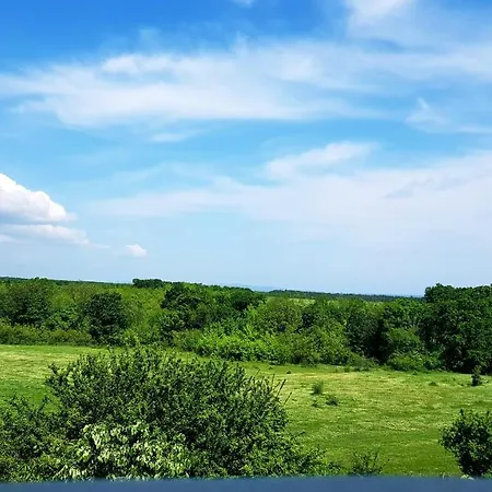 амида ゲストハウス