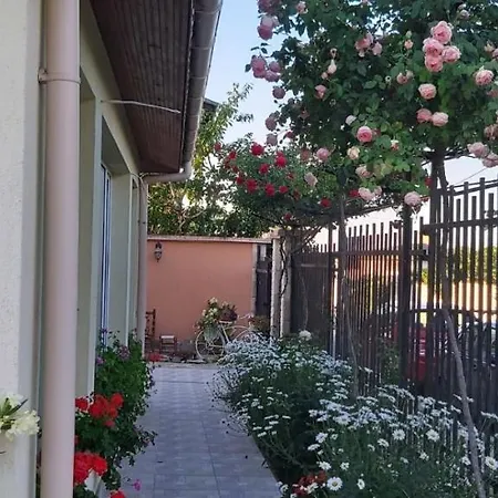 амида ゲストハウス