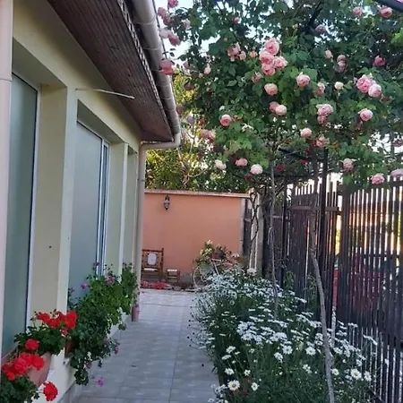 амида ゲストハウス