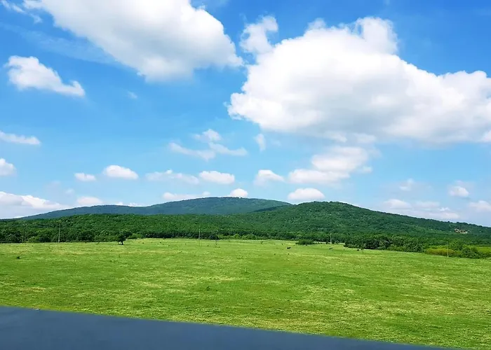 амида 招待所