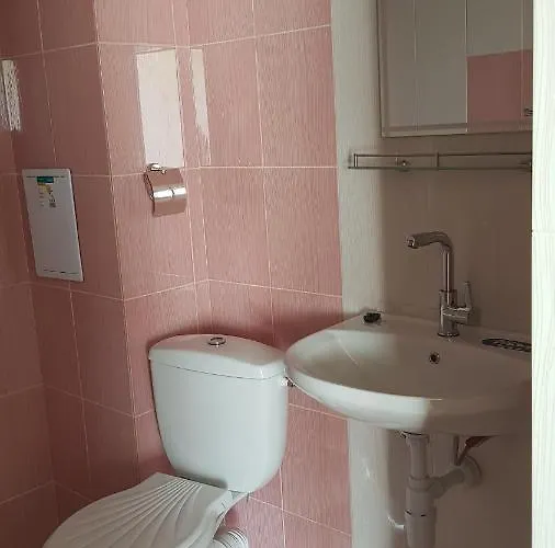 招待所 амида 4*