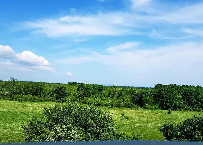 амида 招待所