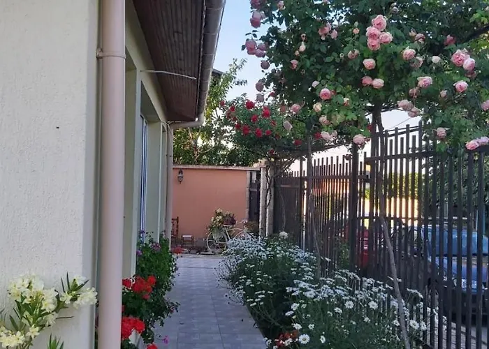 амида 招待所