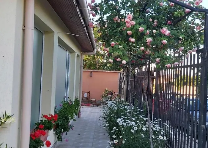 амида 招待所