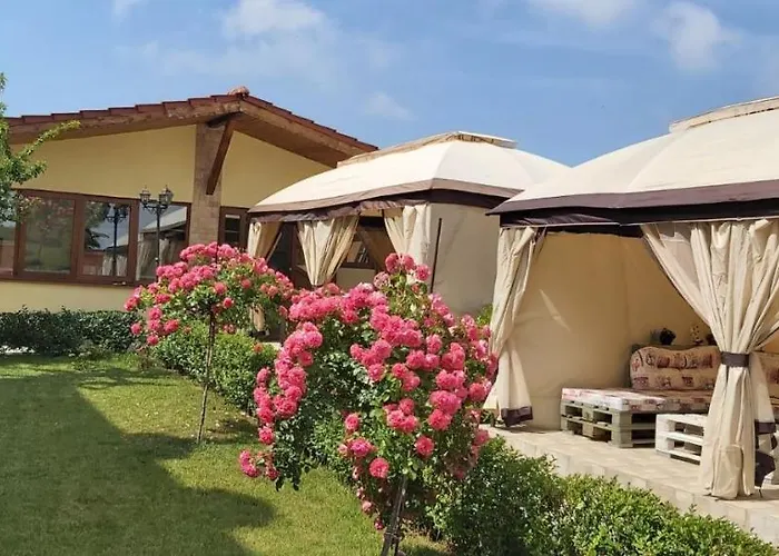 招待所 амида